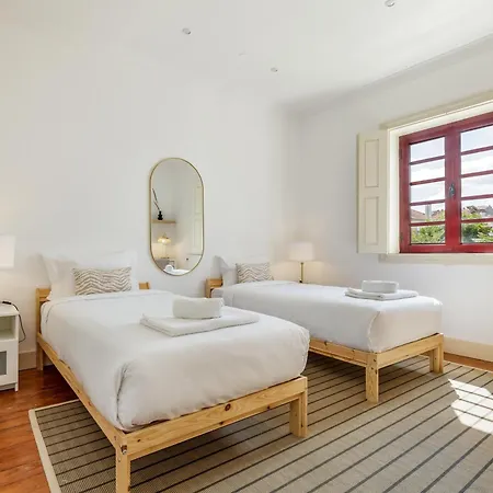 Casa Vitorino Damasio 139 * بورتو